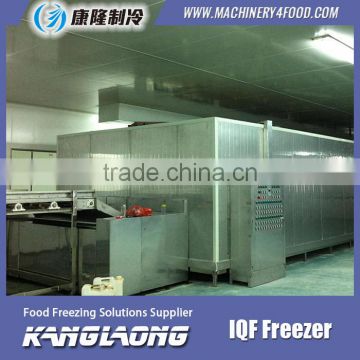 Large Output Cryogenic Freezer For Seafood Made In China