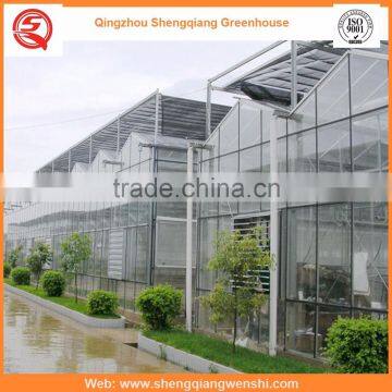 High Quality 12m Multi-span Glass Greenhouse Grow Tent for Vegetables photo-6