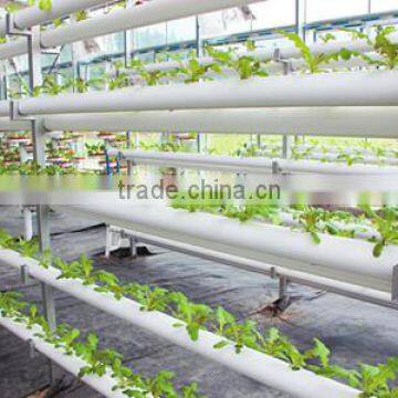 Commercial Polycarbonate Greenhouses Structure With Hydroponic System photo-2