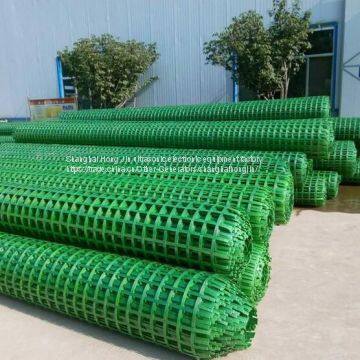 PET Geogrid Production Line photo-3