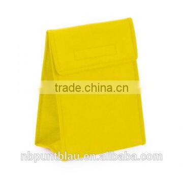 Non-woven Foldable Cooler Bag With Handle for Promtional photo-4