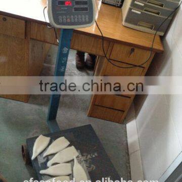 Seafood Frozen Squid Tube U10 photo-3