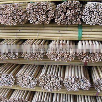 New Style bamboo poles for sale With OPP Bag