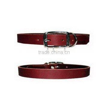Dog Collar