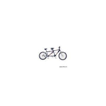 Sell Double-Rider Bike