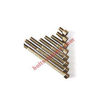 Titanium Hexagon Socket With Partial Thread Bolts