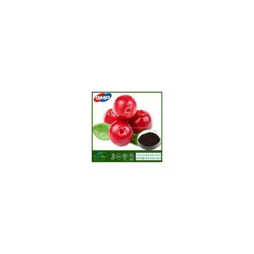 Cranberry Extract 10%-25%Anthocyanidins