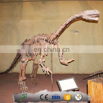 KAWAH Museum Exhibition Display Fake Fiberglass Dinosaur Bone photo-4