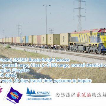 Shanghai to Pozim 255503 Izhevsk container freight of dangerous cargo sea rail freight