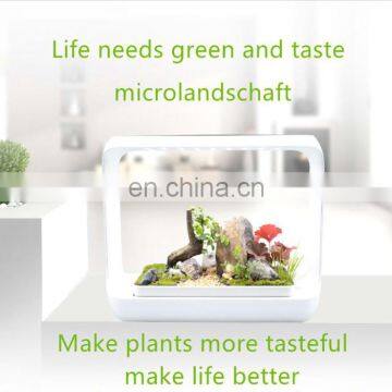 Full Spectrum White Light Grow Lights 4000K/6000K Grow Lamp For Indoor Plants photo-6