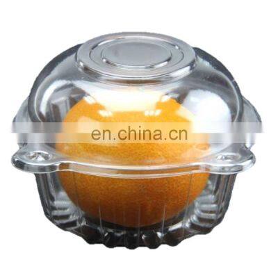 Clear Plastic Single Cupcake Muffin Holders photo-2