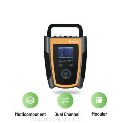 2022 New 70-120kPa Portable Biogas Gas Analyzer with Rechargeable Lithium Battery 6 In1