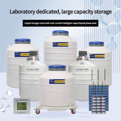 East Timor Liquid Nitrogen Dewar Cell Storage Ln2 Dewar Specialized For Scientific Research