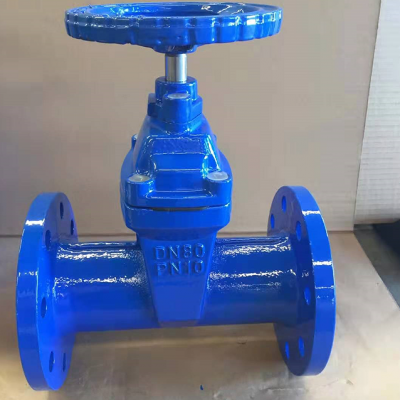 DIN F5 Resilient Seal Gate Valve PN16 GGG50 photo-4