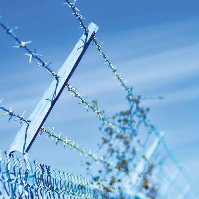 Wholesales Fencing Hot Dipped Galvanized Barbed Wire photo-6