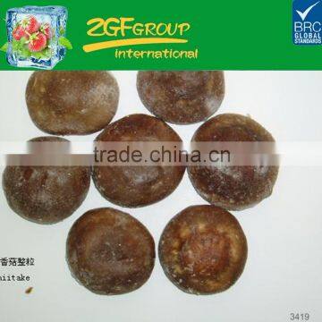 hot sell blanched quick frozen champignon sliced healthy food