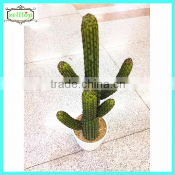 68cm new design hot sale large succulent plants outdoor plants