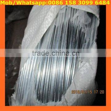 ANPING Electro galvanized iron wire