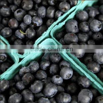 FXJ-15 blueberry grading machine/fruit sorting machine/bilberry sorting machine