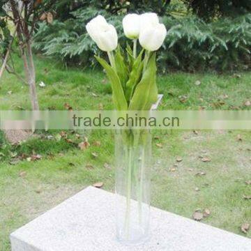 Long Shaped Glass Vase For Home Decoration, Wedding Decoration