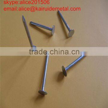 High Quality Low Price Factory Produce Common Iron Nail Smooth Shank/ Supplier Common Iron Nail photo-5