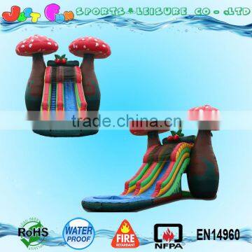 Mushroom Water Slide With Pool for Kids photo-2