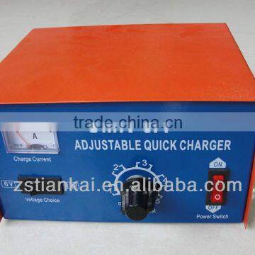 zhongshan Standard 6 volt battery charger