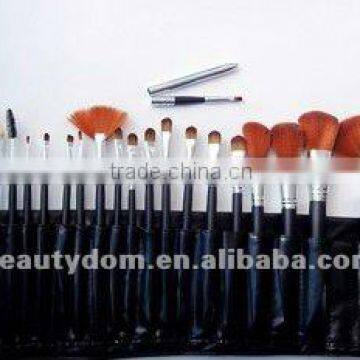 makeup brushes set