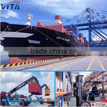 sea freight logistics shipping service from china to ITALY/NETHERLANDS/BELGIUM