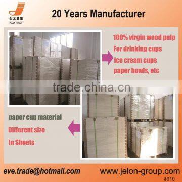 Free Sample PE Coated Board in Sheet