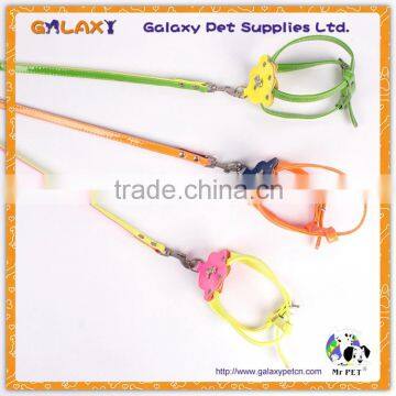 Colorful Pet Collar and Leash Nylon Pet Products New Design Pet Collar, Sell Well Dog Leash photo-3