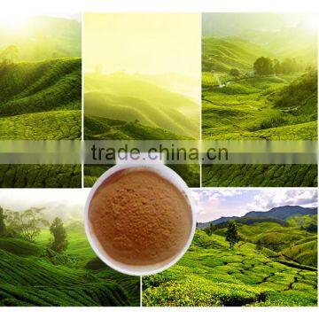 Tea Powder With Low Price photo-6