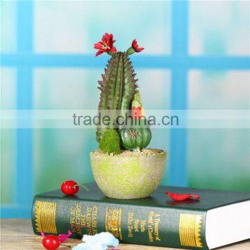 Wedding Decorations fake pot plants miniature cactus , cactus pot