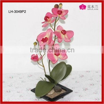 Look Real Butterfly Orchids Fabric Flower Decoration Wholesale