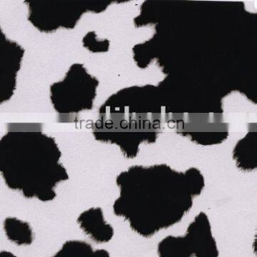 Hc-296 Transfer Film