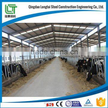 light steel structure cattle shed