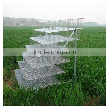 zhenhua high quality automatic egg chicken laying cage