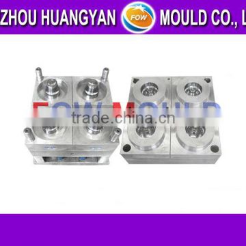 plastic double cavities mould