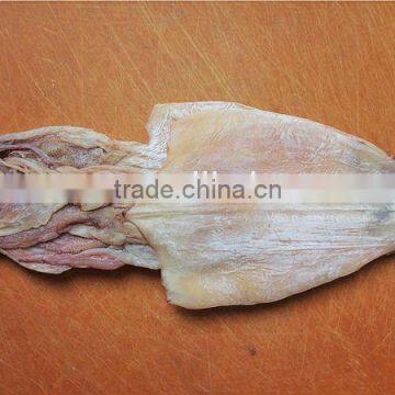 dried squid whole High quality