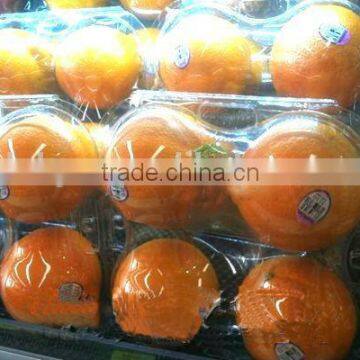 4 Compartment Plastic Compartment Boxes Food Packaging Containers Clear Plastic Paking Box