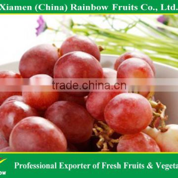 Table grape varieties of Chinese Red globe grape sweet fresh grape