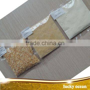 garlic granule with stem latest crop