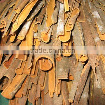 Vietnam Cassia split, broken and whole tube type A, B or C