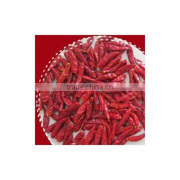 Dried chilli 2014 crop