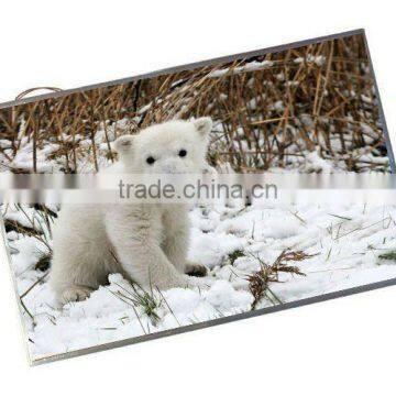 Brand New 10.2" Lcd Screen For Laptop CLAA102NA0ACW