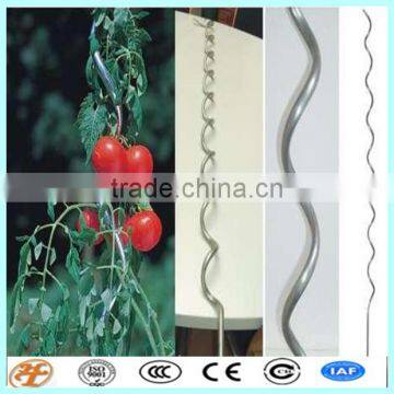 galvanized flexible tomato spiral stakes