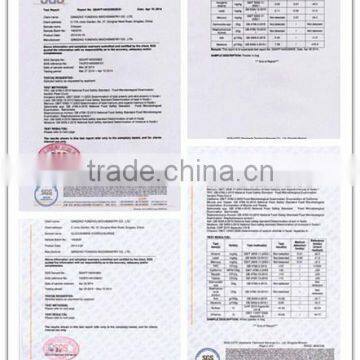 Common Chitosan photo-6