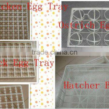 incubator egg tray poultry/bird