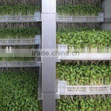 Factory Price Bean Bud Seedling Machine/Bean Sprout Growing Machine For Sale photo-4