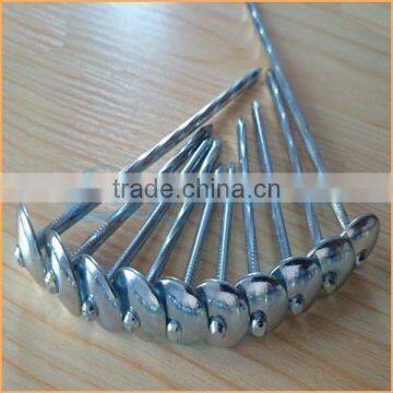 Top Quality Double Point Roofing Nails Trusted Chuanghe Suppliers From Com photo-4